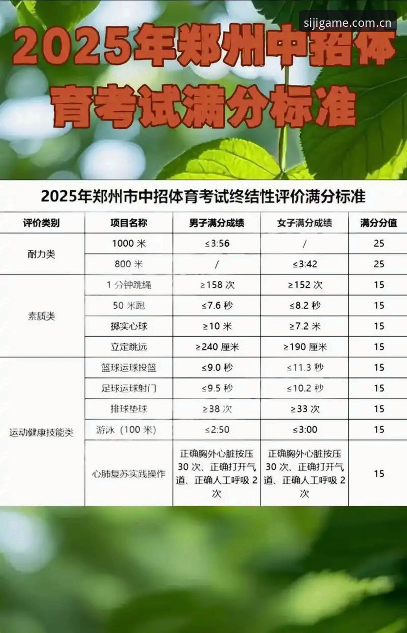 四季体育2025直接装：技术流眼中的版本迭代真相